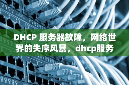 DHCP 服务器故障，网络世界的失序风暴，dhcp服务器出现问题会有啥影响吗