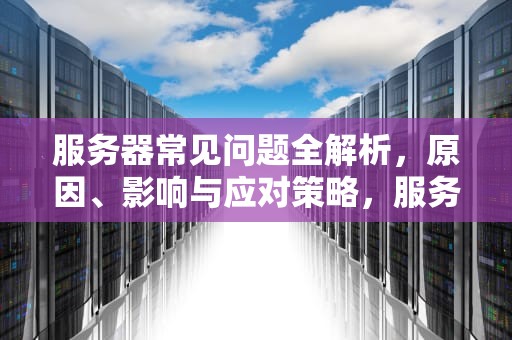 服务器常见问题全解析，原因、影响与应对策略，服务器一般会出什么问题呢