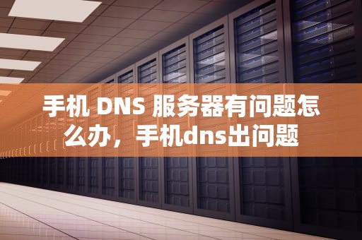 手机 DNS 服务器有问题怎么办，手机dns出问题
