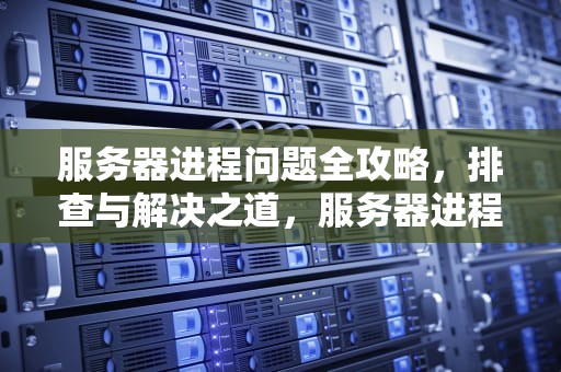 服务器进程问题全攻略，排查与解决之道，服务器进程问题解决方法有哪些