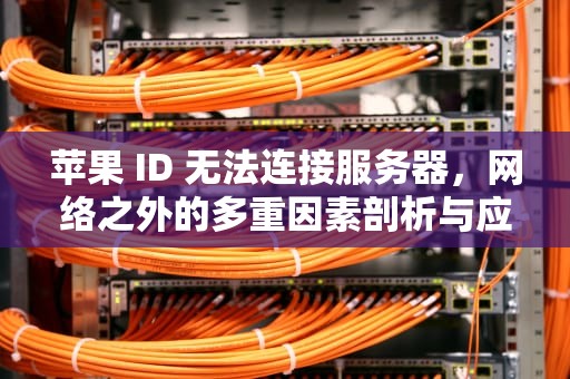 苹果 ID 无法连接服务器，网络之外的多重因素剖析与应对策略，苹果id无法连接服务器不是网络问题吗
