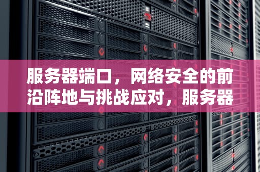 服务器端口，网络安全的前沿阵地与挑战应对，服务器端口 网络安全问题有哪些