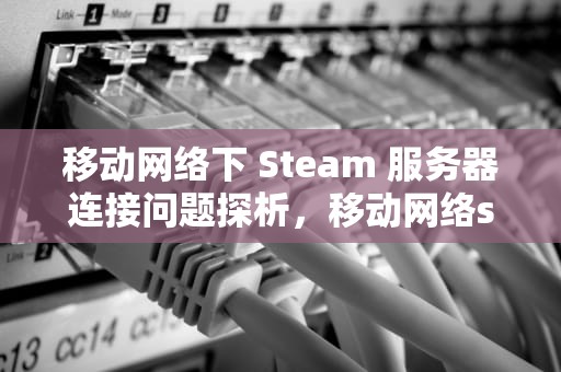 移动网络下 Steam 服务器连接问题探析，移动网络steam服务器遇到问题怎么解决