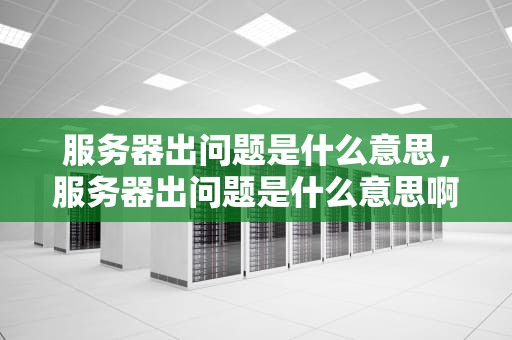 服务器出问题是什么意思，服务器出问题是什么意思啊