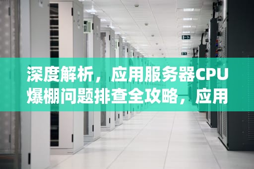 深度解析，应用服务器CPU爆棚问题排查全攻略，应用服务器cpu过高