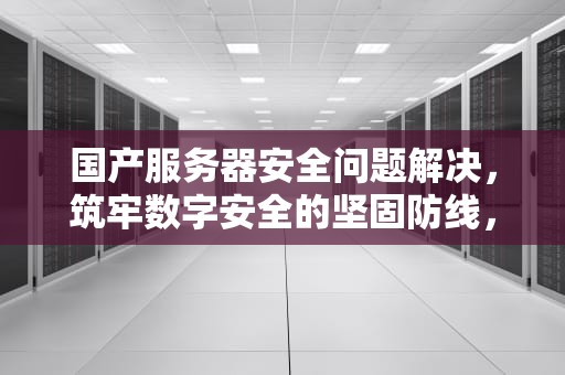 国产服务器安全问题解决，筑牢数字安全的坚固防线，国产服务器安全问题解决方案