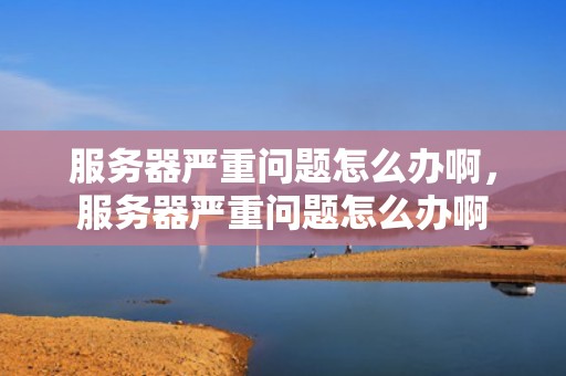 服务器严重问题怎么办啊，服务器严重问题怎么办啊