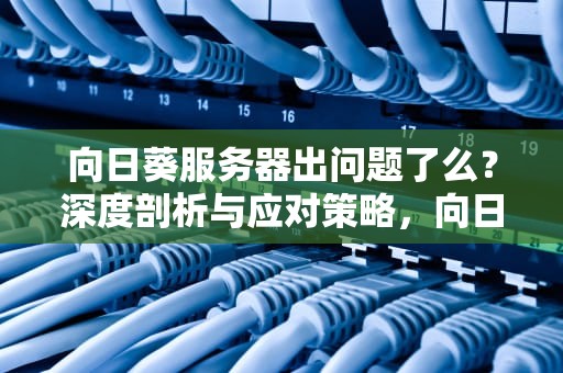 向日葵服务器出问题了么？深度剖析与应对策略，向日葵服务器是什么