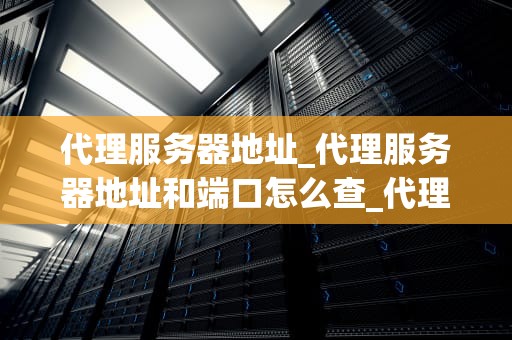 代理服务器地址_代理服务器地址和端口怎么查_代理服务器地址的基础知识及其应用