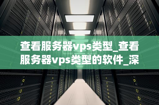 查看服务器vps类型_查看服务器vps类型的软件_深入理解VPS服务器类型及其应用