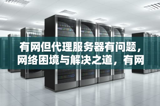 有网但代理服务器有问题，网络困境与解决之道，有网但代理服务器有问题怎么解决