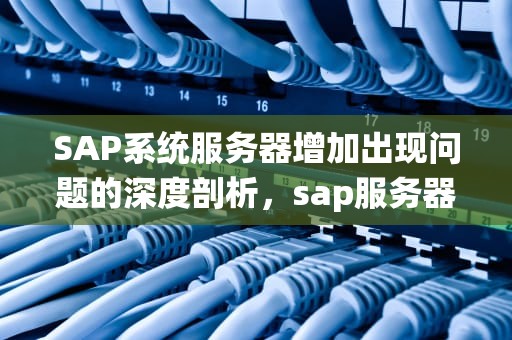 SAP系统服务器增加出现问题的深度剖析，sap服务器部署