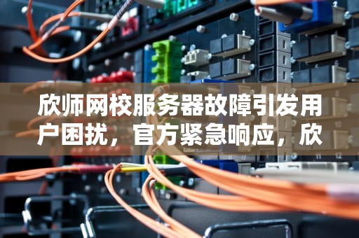 欣师网校服务器故障引发用户困扰，官方紧急响应，欣师网校账号