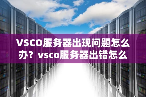 VSCO服务器出现问题怎么办？vsco服务器出错怎么办
