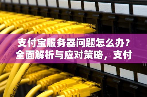 支付宝服务器问题怎么办？全面解析与应对策略，支付宝服务器问题怎么办解决