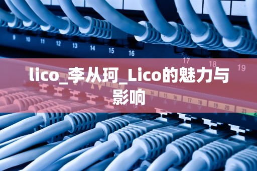 lico_李从珂_Lico的魅力与影响