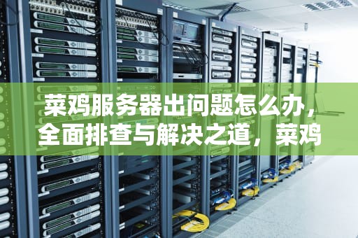 菜鸡服务器出问题怎么办，全面排查与解决之道，菜鸡服务器出问题怎么办啊
