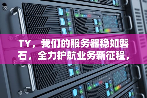 TY，我们的服务器稳如磐石，全力护航业务新征程，我们的服务器又更新了