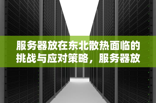 服务器放在东北散热面临的挑战与应对策略，服务器放在东北散热有什么问题吗