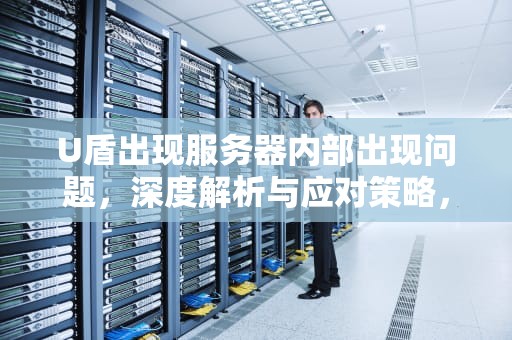 U盾出现服务器内部出现问题，深度解析与应对策略，u盾状态不正常