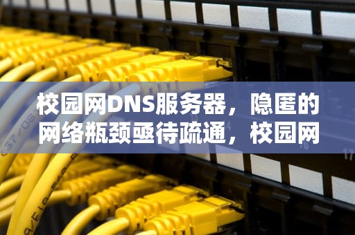 校园网DNS服务器，隐匿的网络瓶颈亟待疏通，校园网dns错误怎么办
