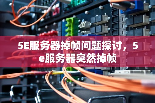 5E服务器掉帧问题探讨，5e服务器突然掉帧