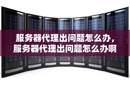 服务器代理出问题怎么办，服务器代理出问题怎么办啊