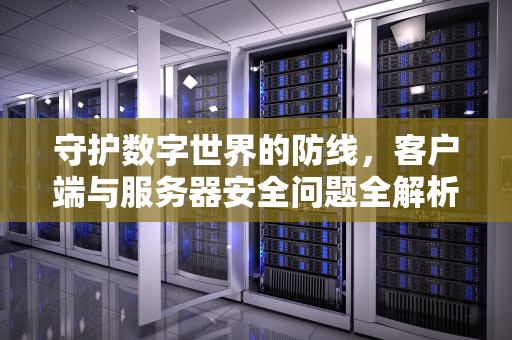 守护数字世界的防线，客户端与服务器安全问题全解析，客户端与服务器安全问题有哪些