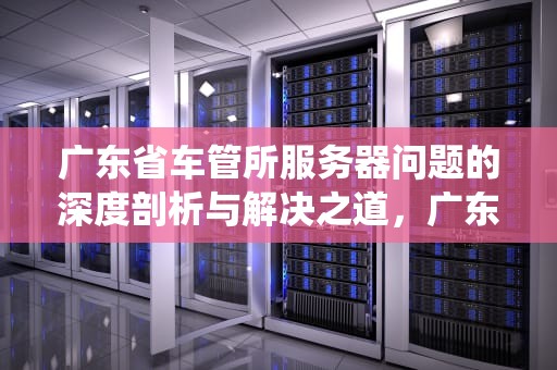 广东省车管所服务器问题的深度剖析与解决之道，广东省车管所系统故障
