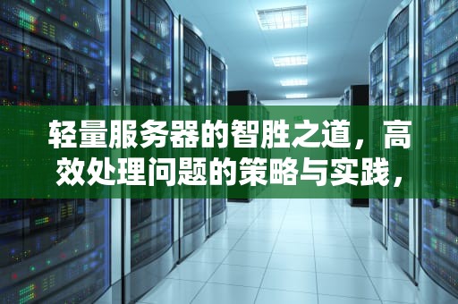轻量服务器的智胜之道，高效处理问题的策略与实践，轻量服务器如何处理问题视频