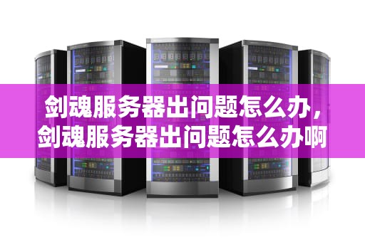 剑魂服务器出问题怎么办，剑魂服务器出问题怎么办啊