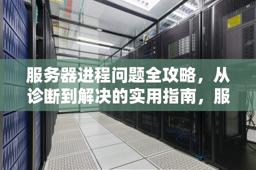 服务器进程问题全攻略，从诊断到解决的实用指南，服务器进程问题解决办法有哪些