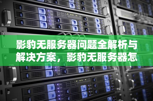 影豹无服务器问题全解析与解决方案，影豹无服务器怎么解决问题的