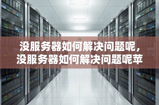 没服务器如何解决问题呢，没服务器如何解决问题呢苹果