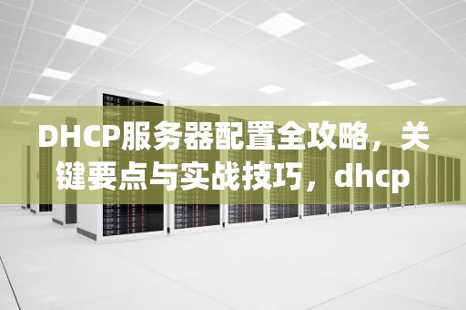DHCP服务器配置全攻略，关键要点与实战技巧，dhcp服务器配置需要注意的问题有哪些