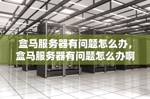 盒马服务器有问题怎么办，盒马服务器有问题怎么办啊