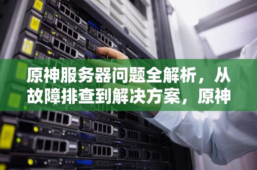 原神服务器问题全解析，从故障排查到解决方案，原神服务器有问题怎么办啊