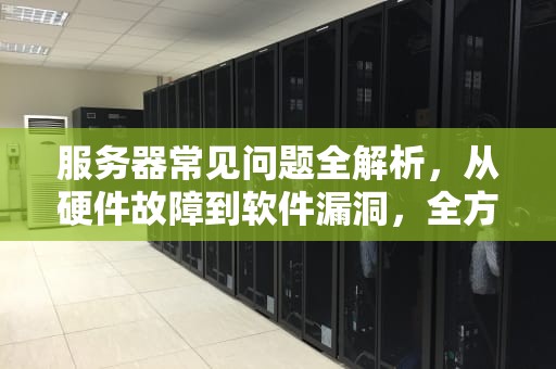 服务器常见问题全解析，从硬件故障到软件漏洞，全方位排查与解决之道，服务器一般有些什么问题呢