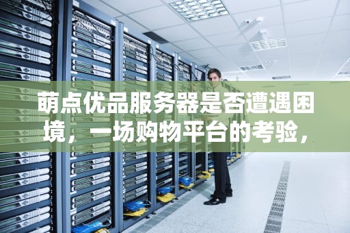 萌点优品服务器是否遭遇困境，一场购物平台的考验，萌点优品服务器有问题吗安全吗