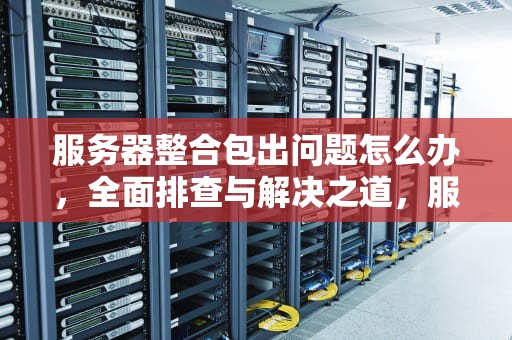 服务器整合包出问题怎么办，全面排查与解决之道，服务器整合包出问题怎么办啊
