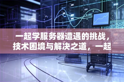 一起学服务器遭遇的挑战，技术困境与解决之道，一起学服务中心