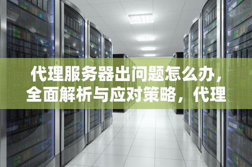 代理服务器出问题怎么办，全面解析与应对策略，代理服务器出问题怎么办啊