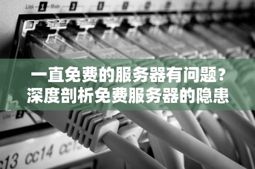 一直免费的服务器有问题？深度剖析免费服务器的隐患与应对之策，一直免费的服务器有问题怎么办