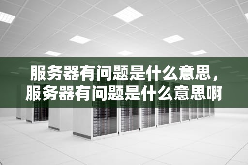 服务器有问题是什么意思，服务器有问题是什么意思啊