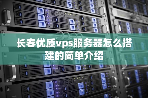 长春优质vps服务器怎么搭建的简单介绍