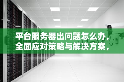 平台服务器出问题怎么办，全面应对策略与解决方案，平台服务器出问题怎么办啊