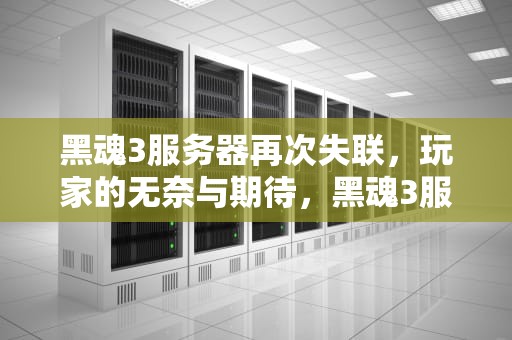 黑魂3服务器再次失联，玩家的无奈与期待，黑魂3服务器出问题了没反应
