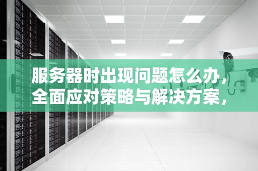 服务器时出现问题怎么办，全面应对策略与解决方案，连接到服务器时出现问题怎么办