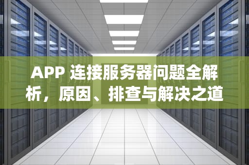 APP 连接服务器问题全解析，原因、排查与解决之道，app出现连接服务器时出问题吗怎么办