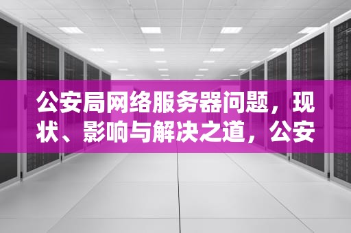 公安局网络服务器问题，现状、影响与解决之道，公安局网络系统出现问题